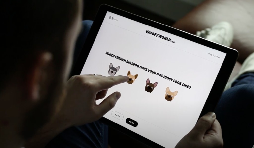 Woofy World product flow